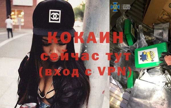 стаф Гусев