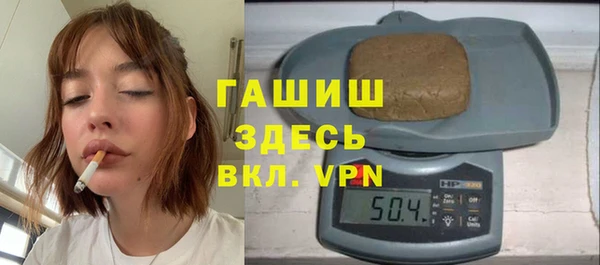 стаф Гусев