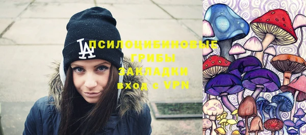a pvp Гусь-Хрустальный