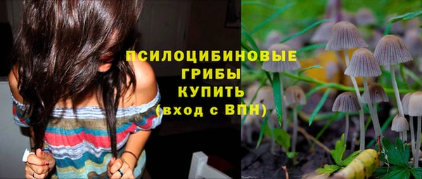 a pvp Гусь-Хрустальный