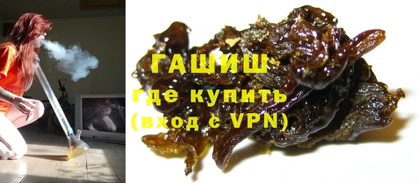 стаф Гусев