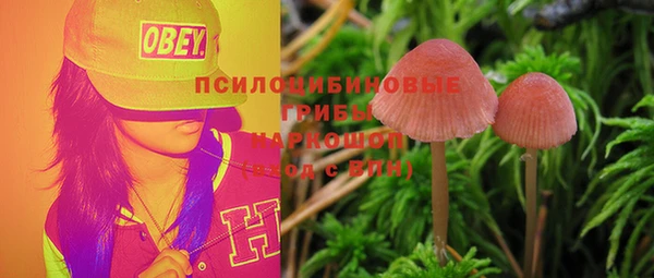 a pvp Гусь-Хрустальный