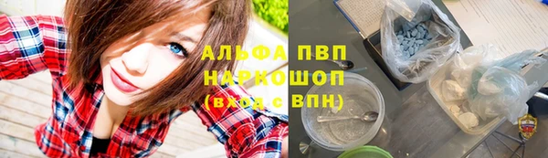 стаф Гусев